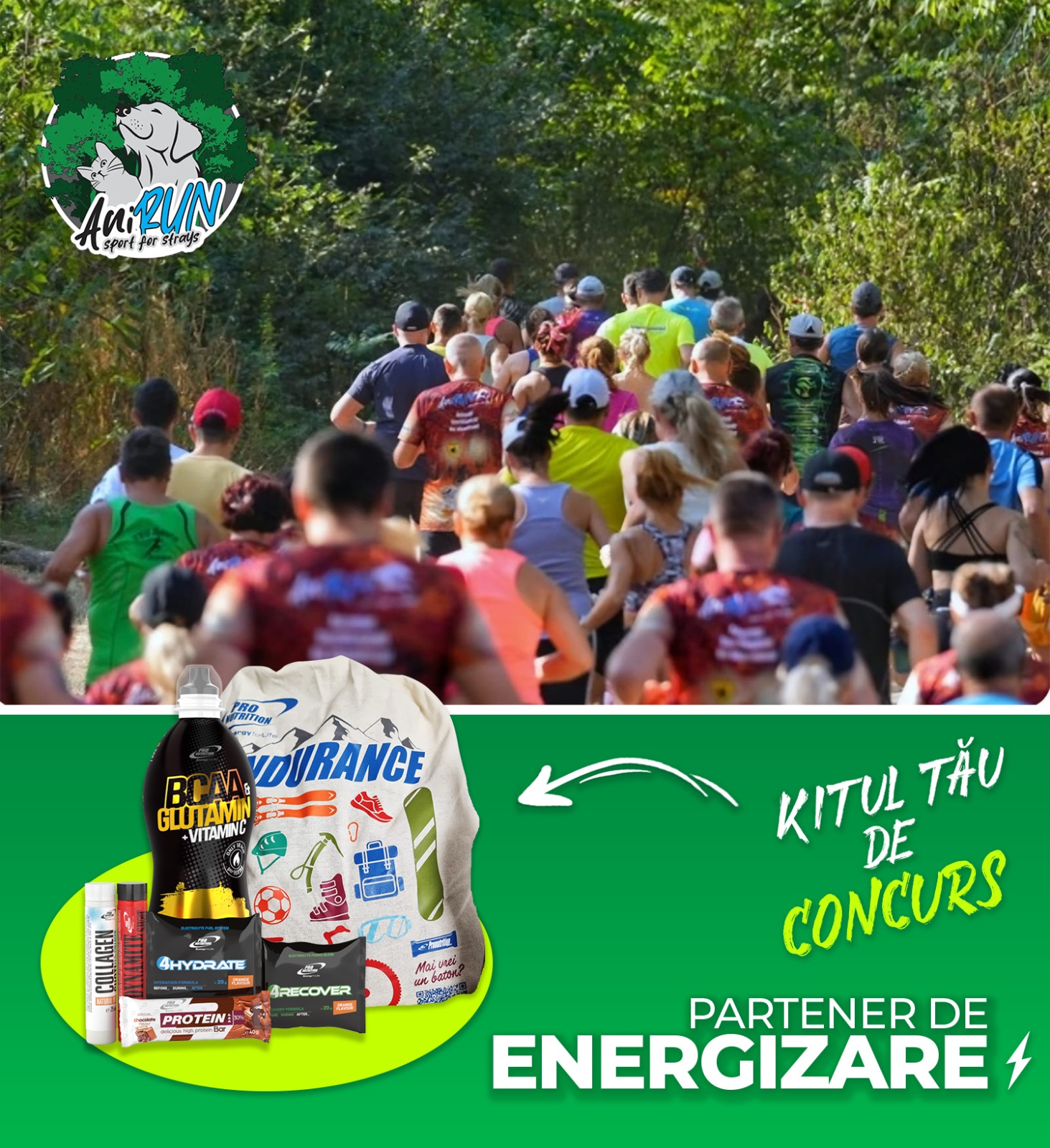 Sezon competitional