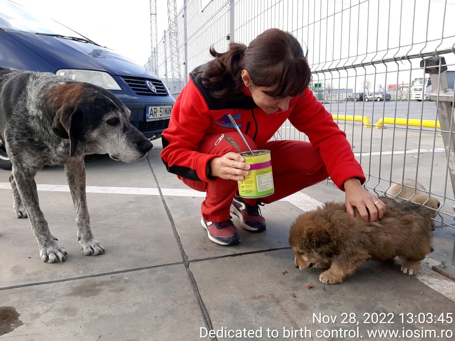 Directioneaza 3 la suta din impozit