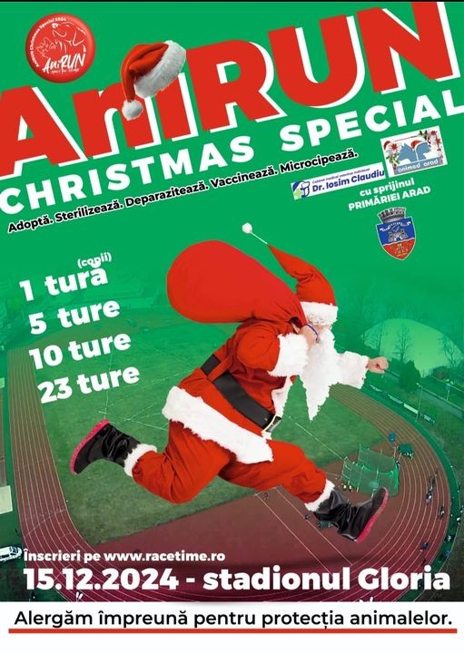 AniRUN Christmas Special