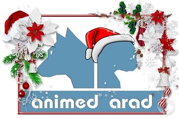 AniRUN Christmas Special