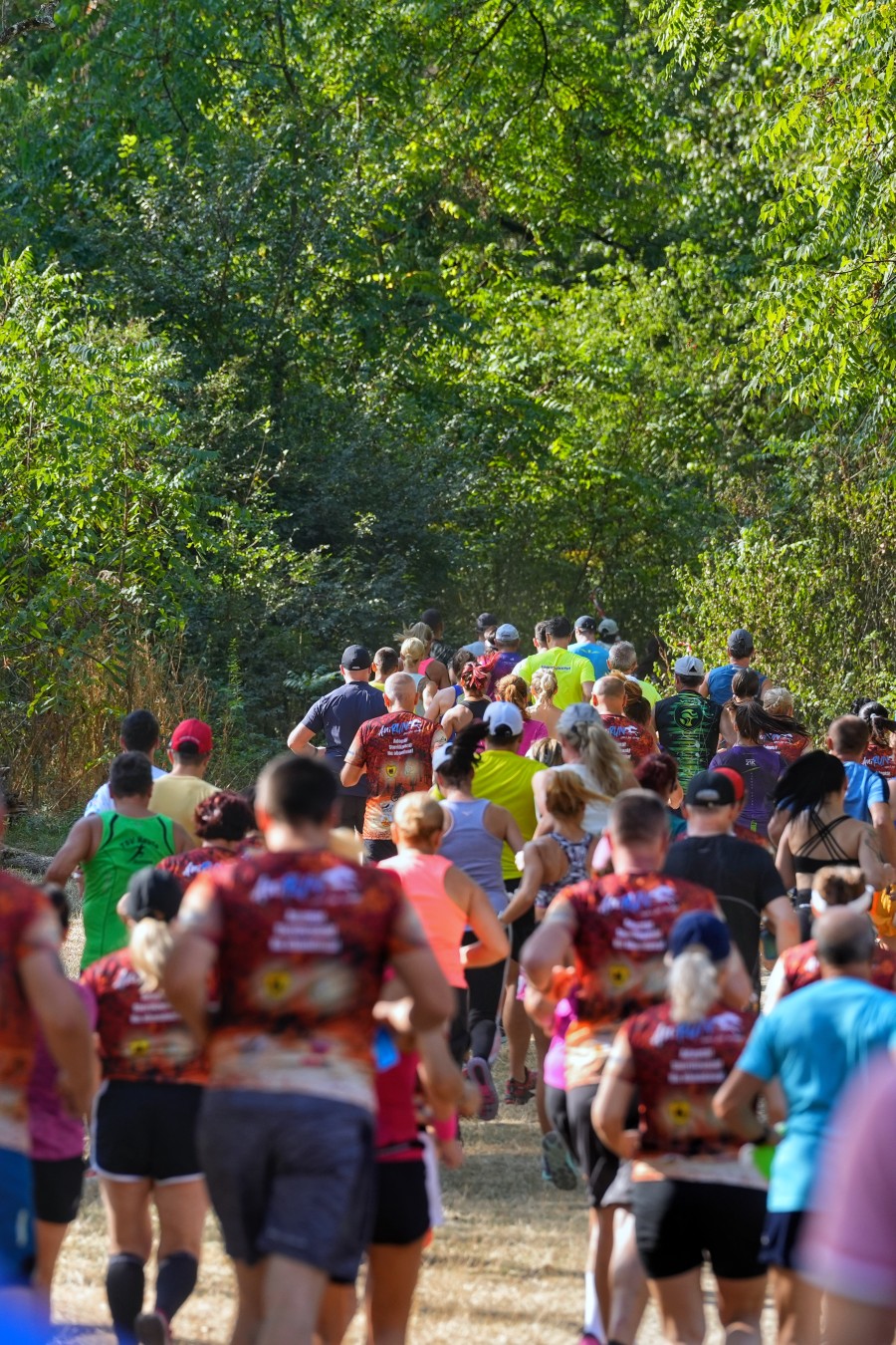 Cursa de 3 km