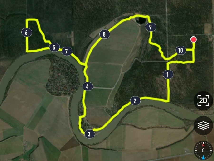 Maraton AniRUN