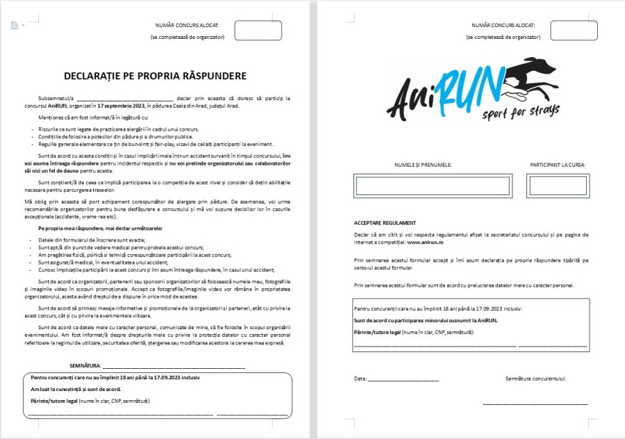 11-declaratia-pe-propria-raspundere.jpg