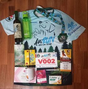 11-rita-kovacs-virtual-10-km.jpg
