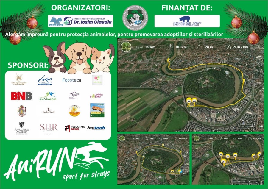 13-banner.jpg