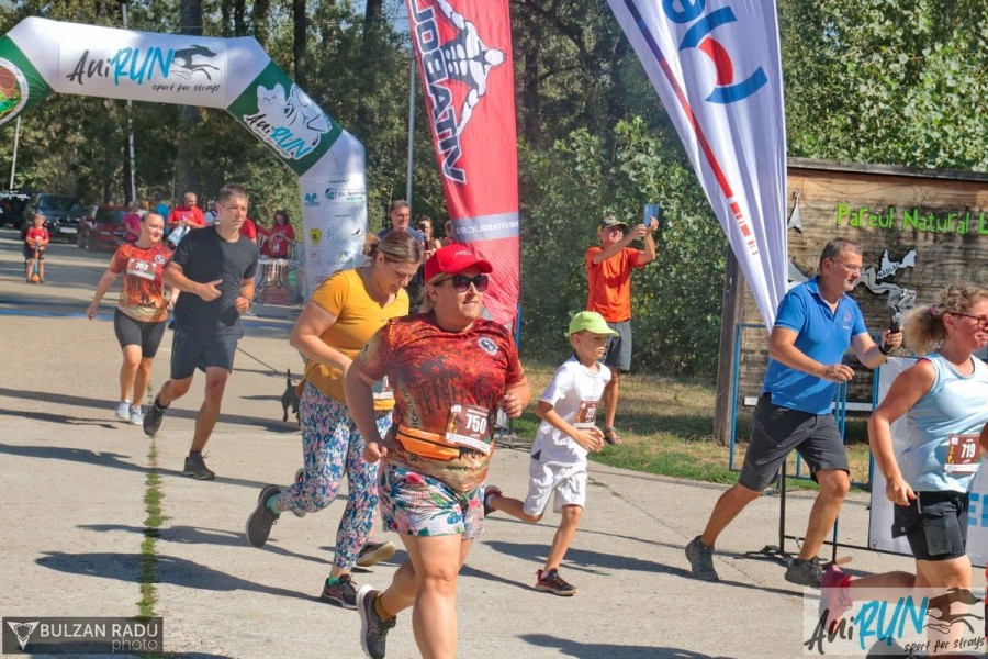 20-img-4774.jpg