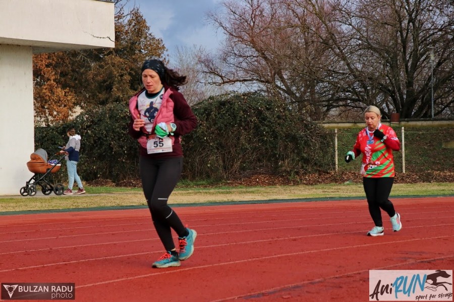 37-img-2672.jpg