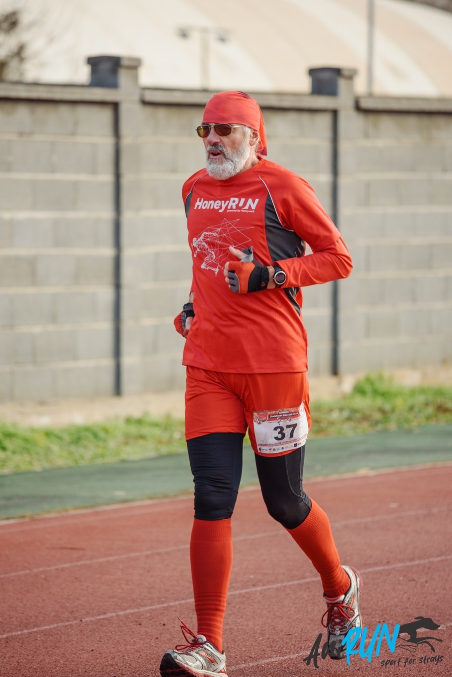 38-d78-5461.jpg