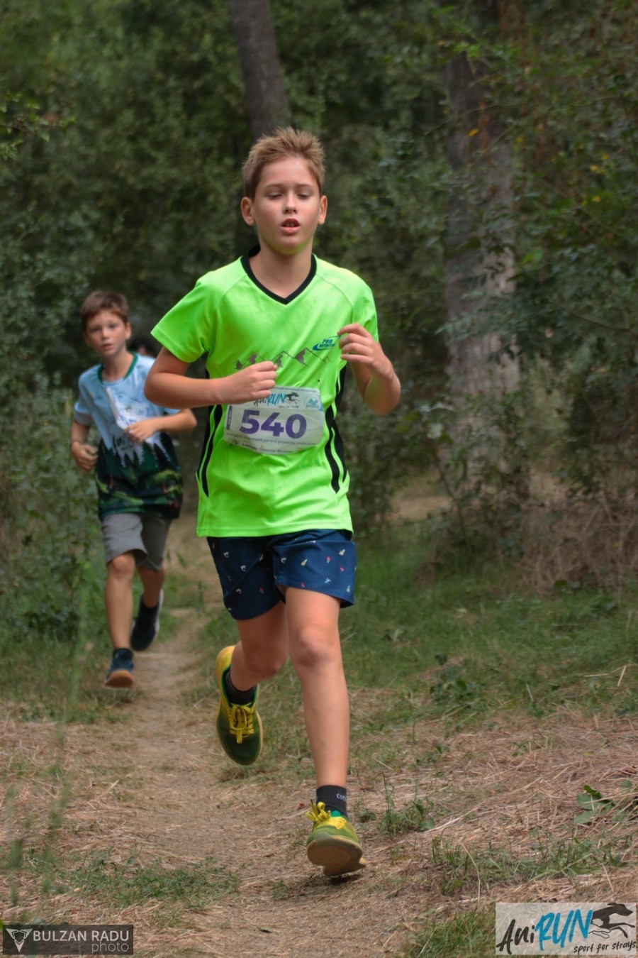 4-img-9684.jpg