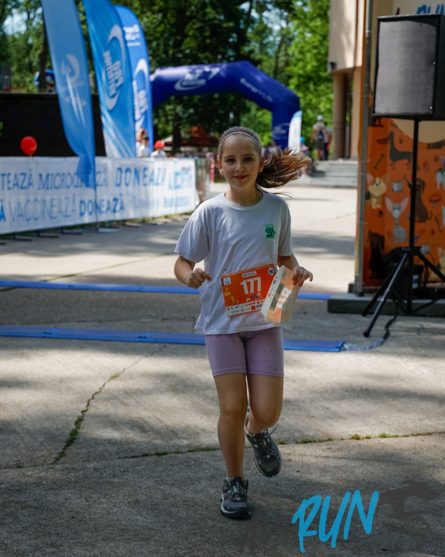 41-12060.jpg