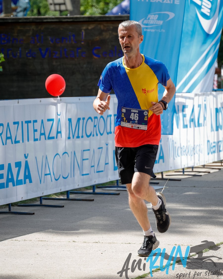 41-12064.jpg