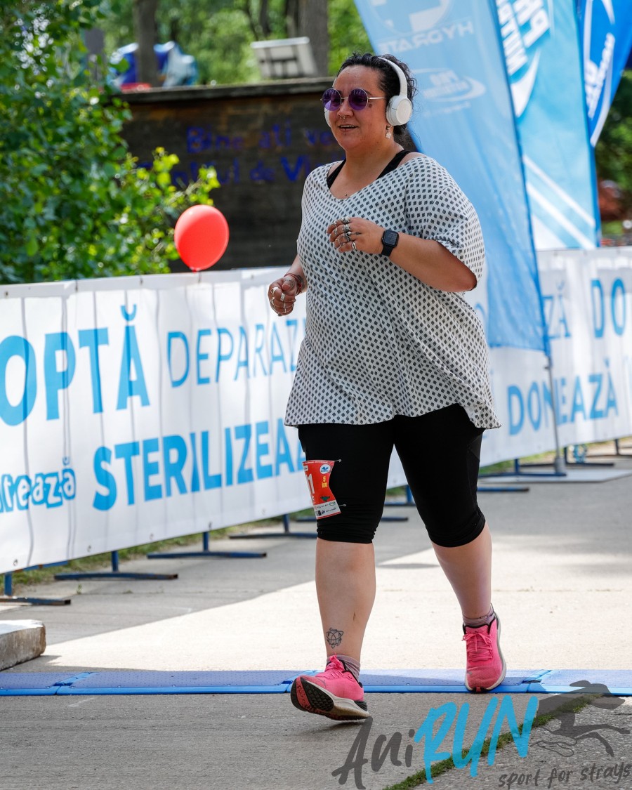41-12256.jpg