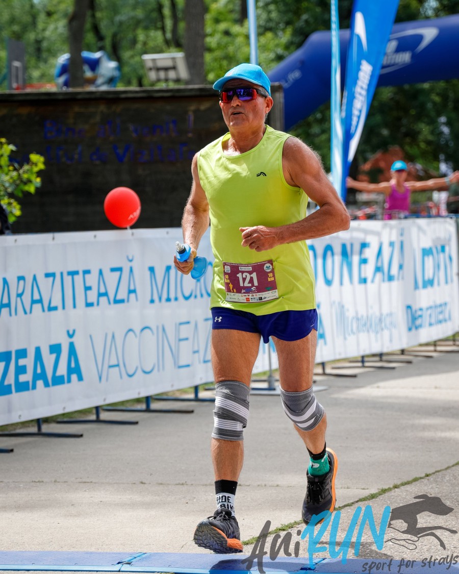 41-12279.jpg