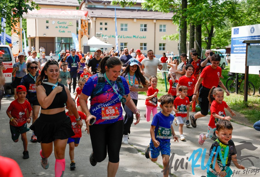 41-12302.jpg