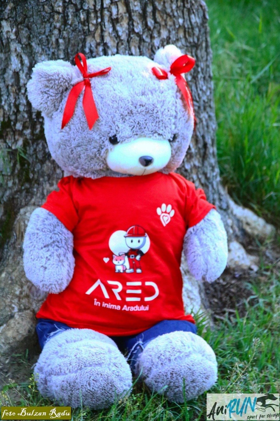 42-5d9a2468.jpg