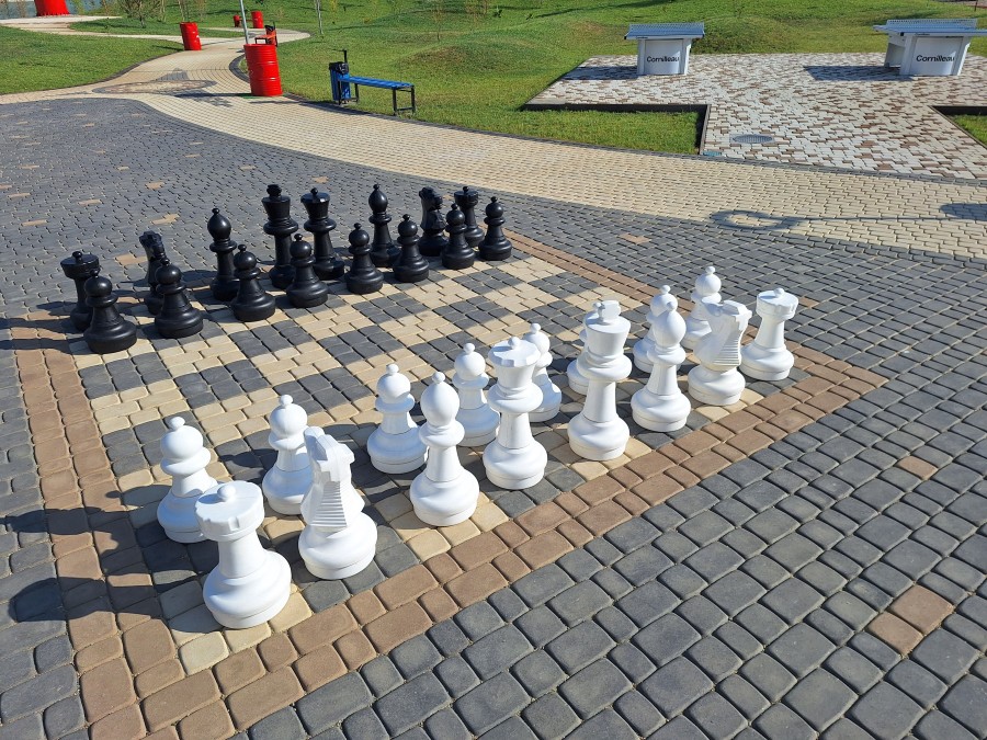 44-20250731-091759.jpg
