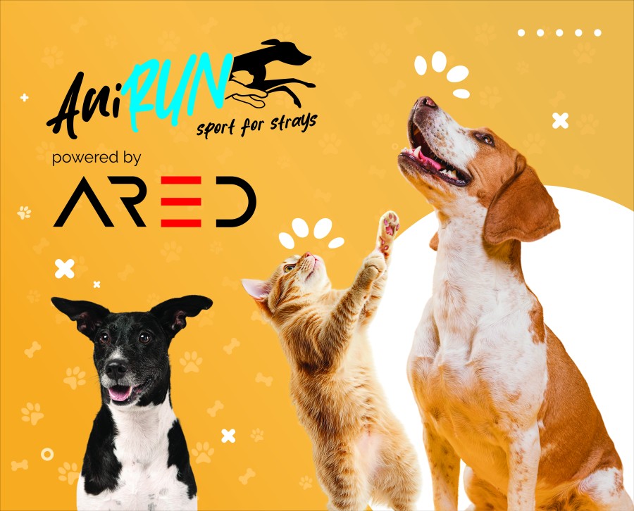 AniRUN powered by ARED 13.09.2025