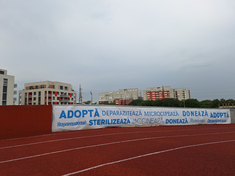 48-20260606-082903.jpg