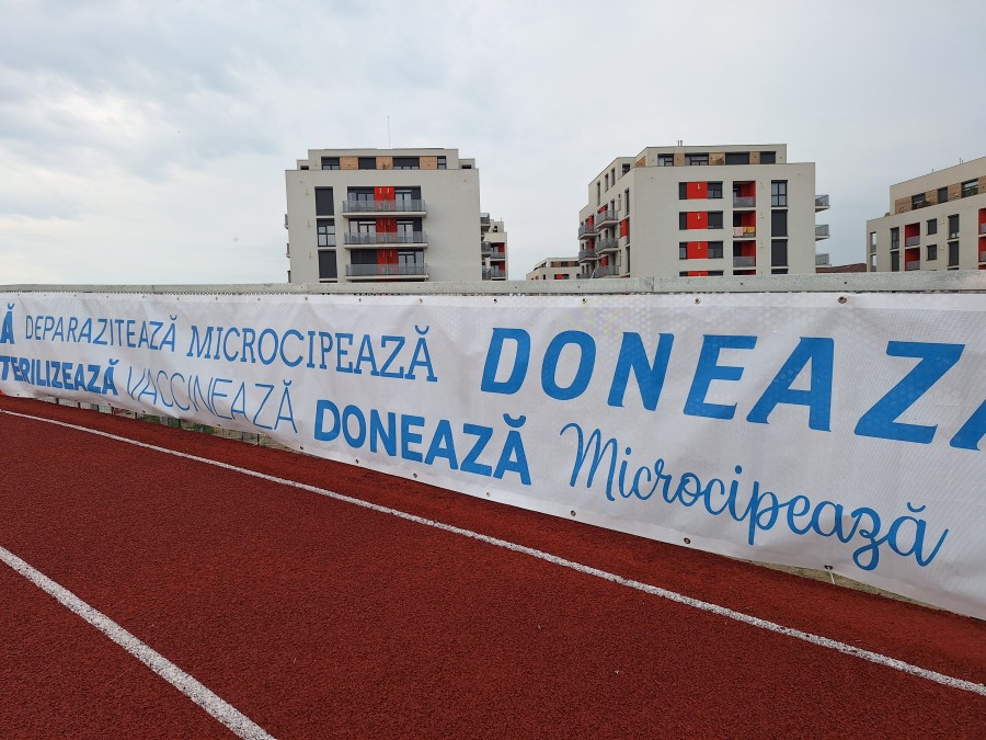 48-20260606-082935.jpg