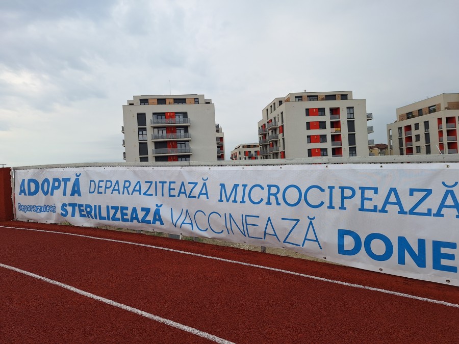 48-20260606-082946.jpg