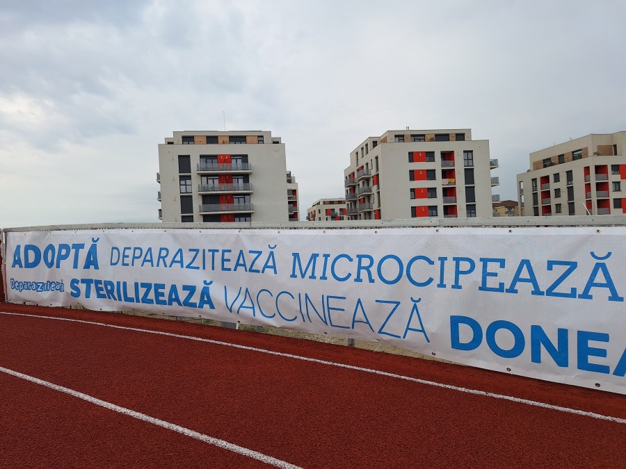 48-20260606-082949.jpg
