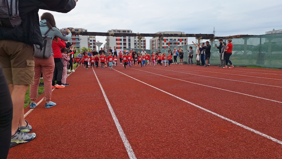 48-20260606-101832.jpg