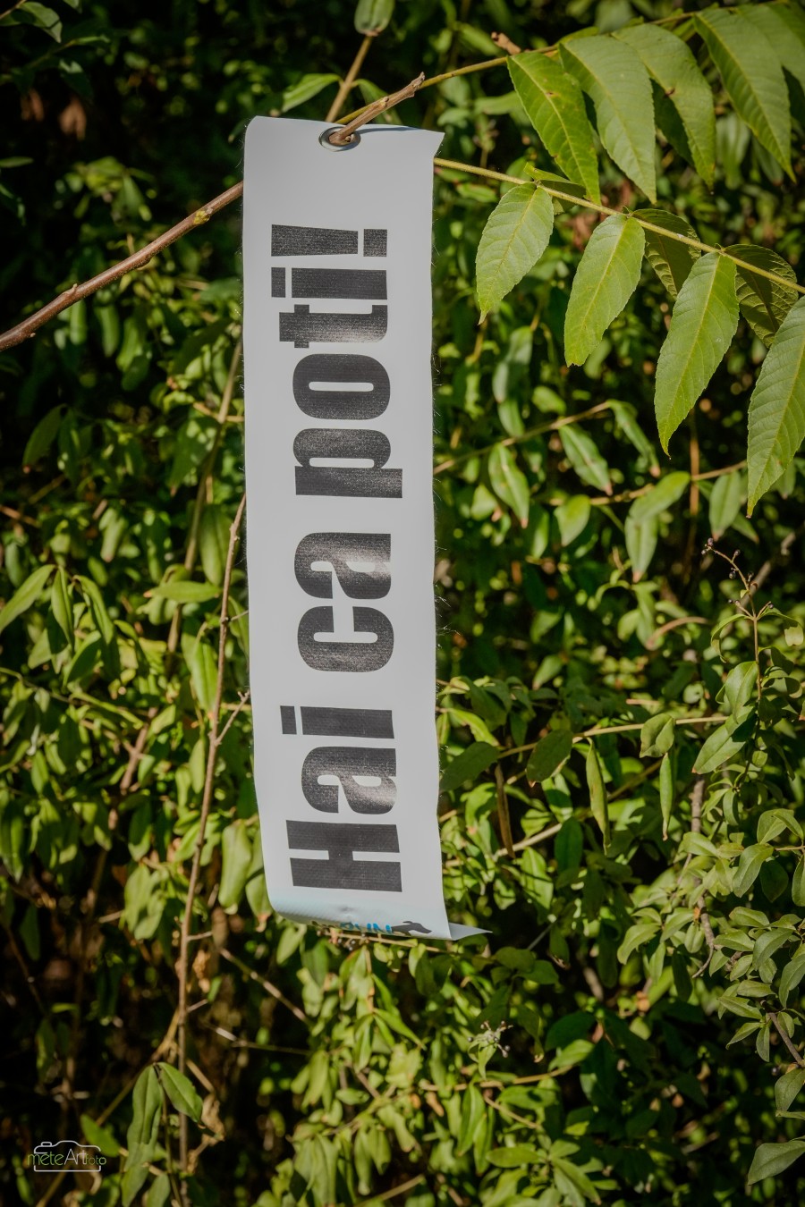 49-dsc8751-138.jpeg