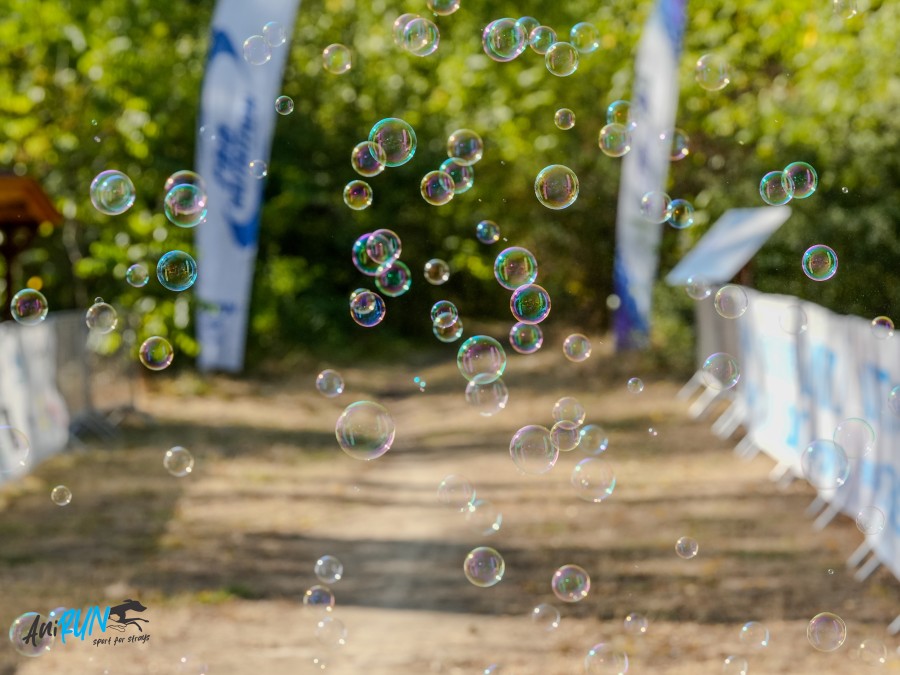 49-dsc9973.jpeg