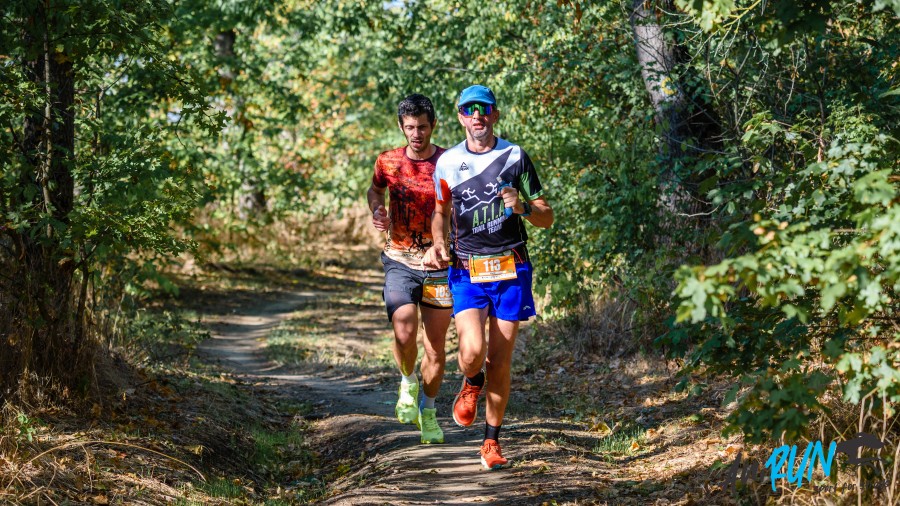 51-e75-9615.jpg