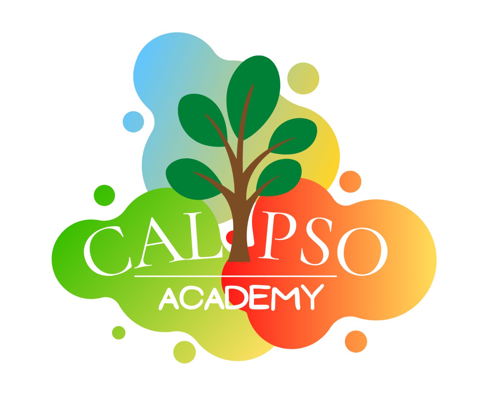 Calypso Academy Arad
