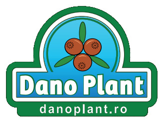 Dano Plant